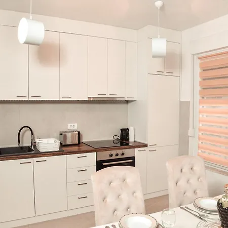 Apartment Boskovic Banja Koviljaca